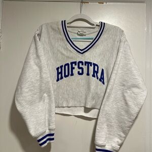 Champion Y2K reverse weave Hofstra University Cropped Vneck preppy Pullover